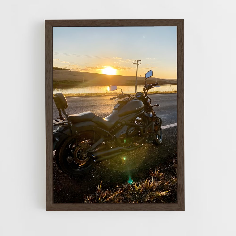 Poster Free Ride (vue 5)